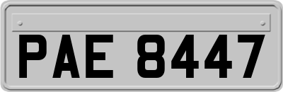 PAE8447