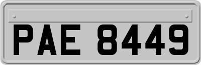 PAE8449