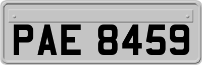 PAE8459