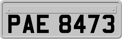 PAE8473