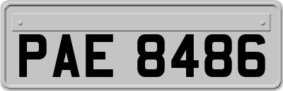PAE8486