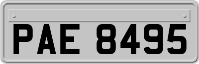 PAE8495