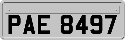 PAE8497