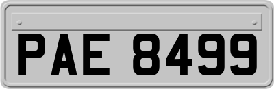PAE8499