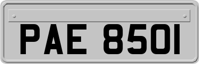PAE8501