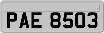 PAE8503