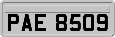 PAE8509