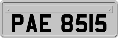 PAE8515