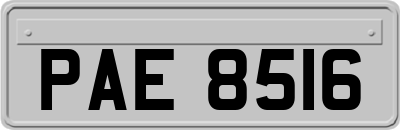 PAE8516