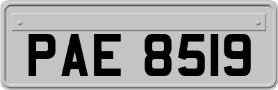 PAE8519