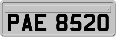 PAE8520