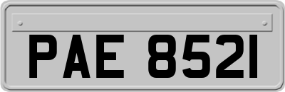 PAE8521