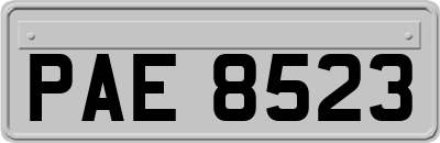 PAE8523