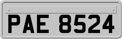 PAE8524