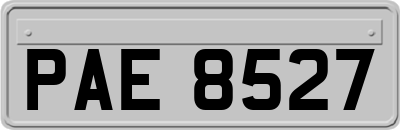 PAE8527
