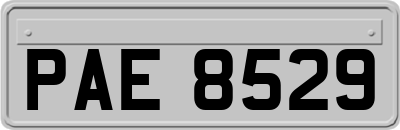 PAE8529