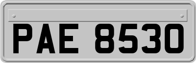 PAE8530