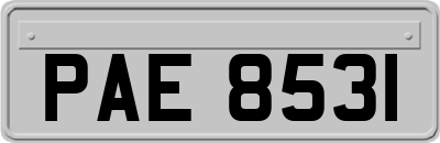 PAE8531