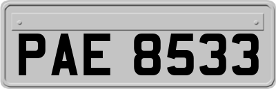 PAE8533