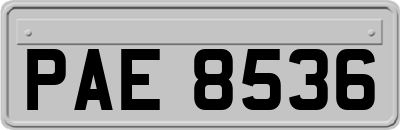 PAE8536