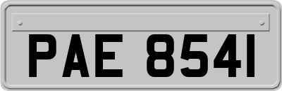 PAE8541