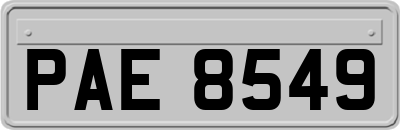 PAE8549