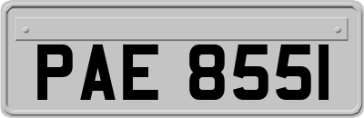 PAE8551