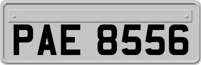 PAE8556