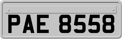 PAE8558