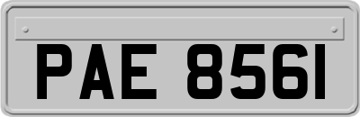 PAE8561