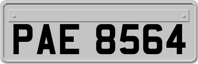 PAE8564