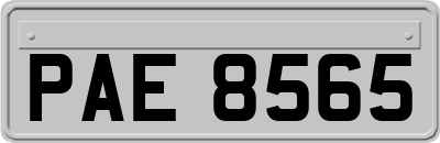 PAE8565