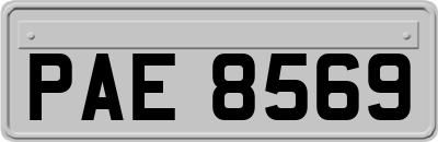 PAE8569
