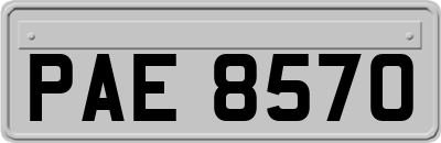 PAE8570