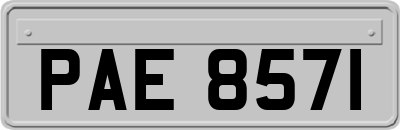 PAE8571