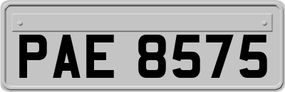 PAE8575