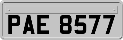 PAE8577