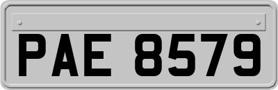 PAE8579