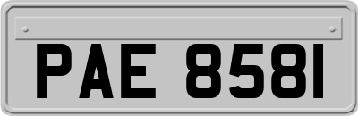 PAE8581