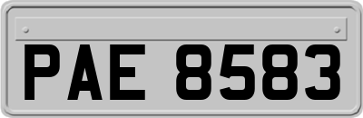 PAE8583