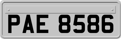 PAE8586