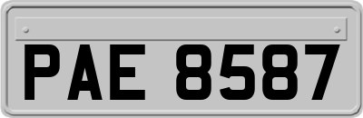 PAE8587