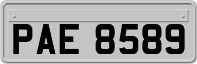 PAE8589