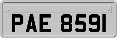 PAE8591