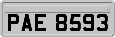 PAE8593