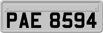 PAE8594