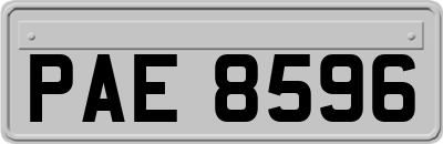PAE8596