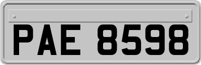 PAE8598