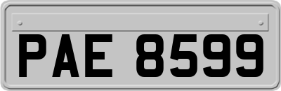 PAE8599