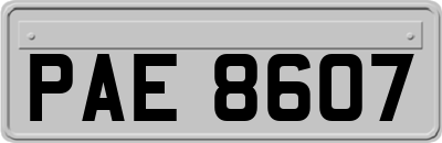 PAE8607